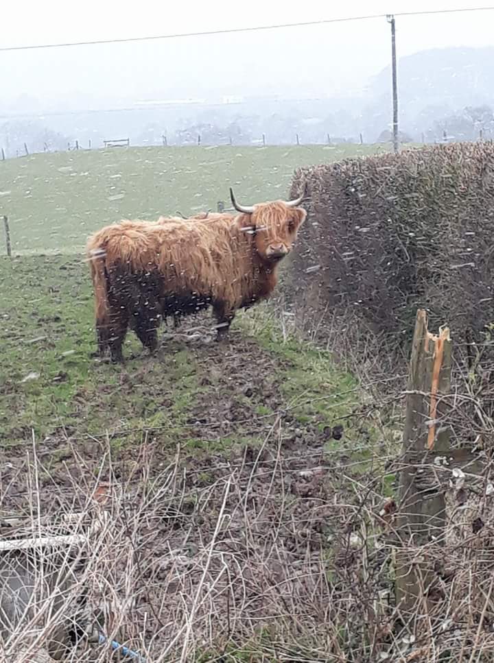Torri_Poole's tweet photo. The weather at the Mendip Mens walk today! Thank you to all those who are out walking for us! @st_marg @CandlelightCare 🌻❄️ https://t.co/WxYLvOfxgY