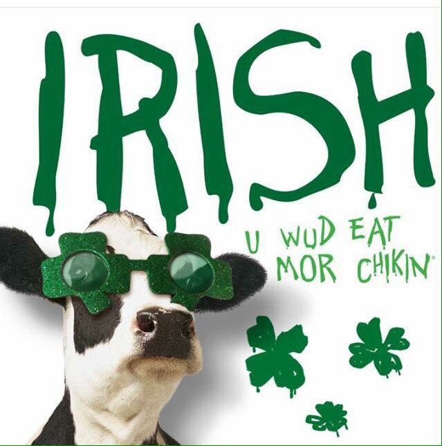 cfacityline's tweet image. Happy Saint Patrick’s Day!!!  🍀🐮
#cfacityline #eatmorechicken