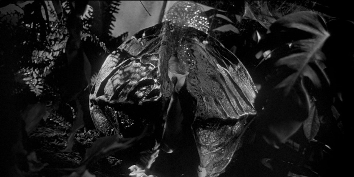 DVDBeaver's tweet photo. The Invasion of the Body Snatchers Blu-ray Media Book - Region FREE https://t.co/SDh8UYnI2A There's something strange going on in Santa Mira. Children don't recognize their parents. Husbands have become estranged from their wives. Mass hysteria? Mass alienation more likely.... https://t.co/3PMct2ntJC