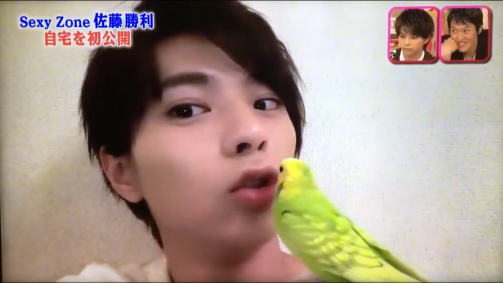 SatouAsumi1030's tweet photo. 🌹佐藤勝利🌹22歳の誕生日までに
❤1030RT❤️よろしくおねがいしマリウス！
勝利に届きますように...✨🙏✨
早すぎかもしれないんですけどフォロワーさん少ないので笑
#佐藤勝利
#RTした人全員フォローする 
#わーーーージャニオタさんと繋がるお時��がまいりましたいっぱいつながりましょ https://t.co/KykjuByDo6