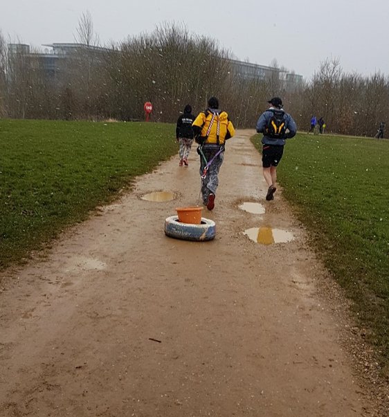 tyrelady's tweet photo. First #5K #tyrepull since #Arrowhead135 41:06 will do with #FreeusBlod facing the #BeastFromTheEast Junior https://t.co/OUAaIn25P3