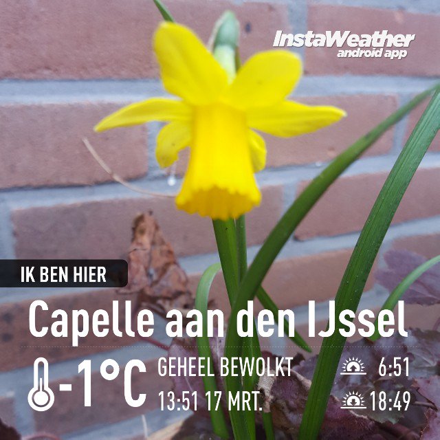 Iemco's tweet photo. ...en over 4 dagen is het Lente! https://t.co/oYGdHFW8P0