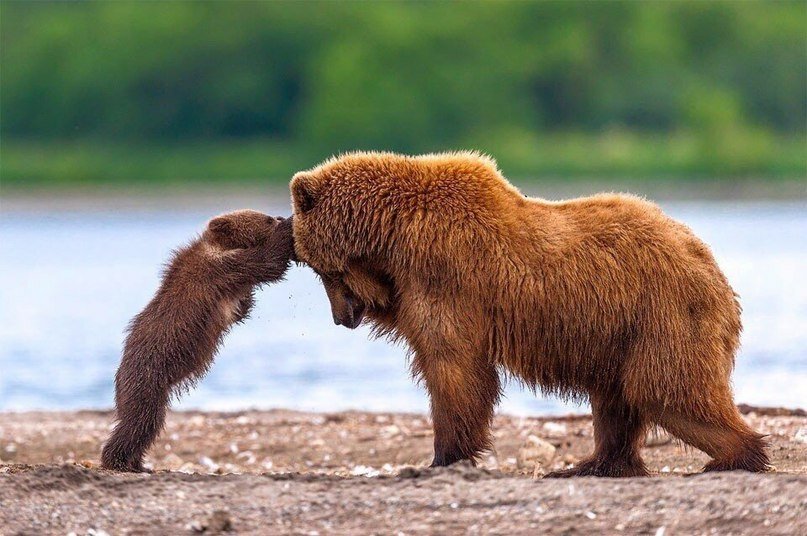 AnnaGordushina's tweet photo. #follow4follow #FollowBack #фолловинг #взаимныеподписки #FastFollow #LetsAllFollowback #follow #FollowMe #followtrain #Подписываюсь #подписка #подписказаподписку #подпишусьвответ #взаимныйфолловинг #followforfollow #followers #follow4like #following https://t.co/OiLchYQgKj