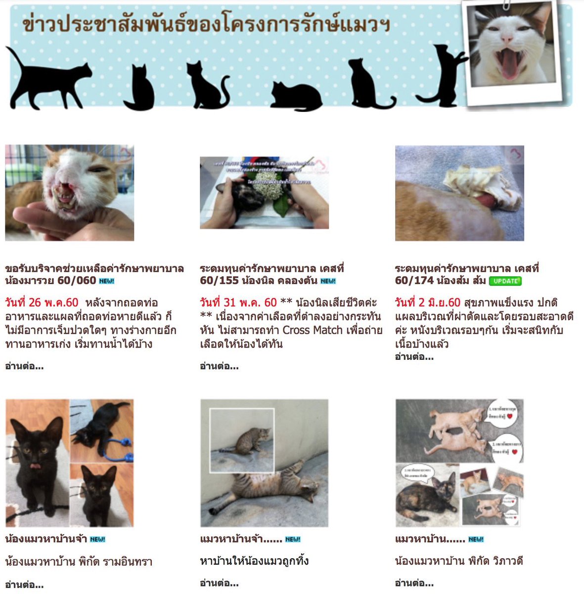 bambambunnyy's tweet photo. ร่วมเป็นส่วนหนึ่งกับ #BABYBAMPROJECT ได้โดยการเลือก
"โดเนทหรือซื้อตุ๊กตาเบบี้บัม"
ซึ่งในการโดเนทไม่มีขั้นต่ำนะคะ😊
รายละเอียดเพิ่มเติม👉 https://t.co/vOE1Hj9SMf
#ปจเบบี้บัม #GOT7 #BamBam #갓세븐 #뱀뱀 https://t.co/J0fNFBXHv6