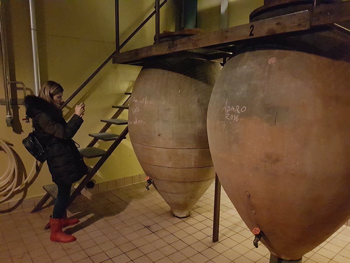 viajeconpablo's tweet photo. El lugar donde Felipe III hacía sus cacerías y organizaba grandes fiestas es hoy una de las bodegas insignia de la Ribera del Duero  @PradoReyBodegas @acriduero #RiberadelDueroCYLTB https://t.co/mILG0s2yhm