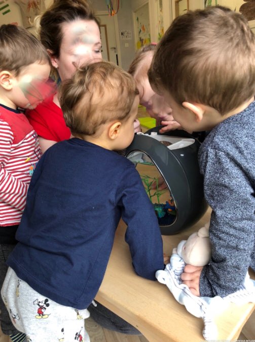 Natfab1's tweet photo. Un nouveau venu dans notre micro_crèche #lesMalicieuxDesFrères #Thionville #grandir @Creches_LPCR https://t.co/NwwaF0XX0C