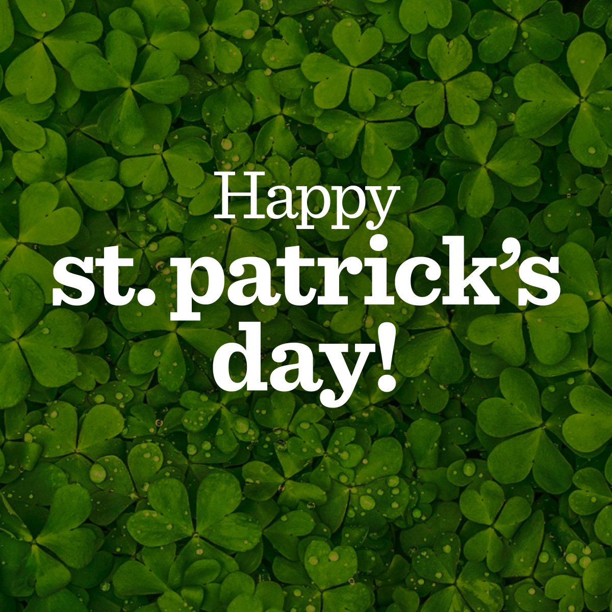Happy St. Patrick's Day! 🍀