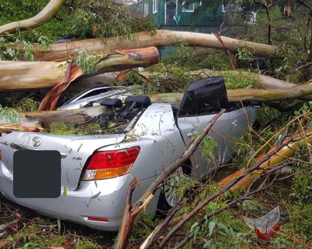 BreakingNewsKE's tweet photo. SEVEN cars badly damaged after a tree falls on them at Serena hotel car park following heavy rain; no injuries reported. #NairobiRains https://t.co/0ZGJP189lz