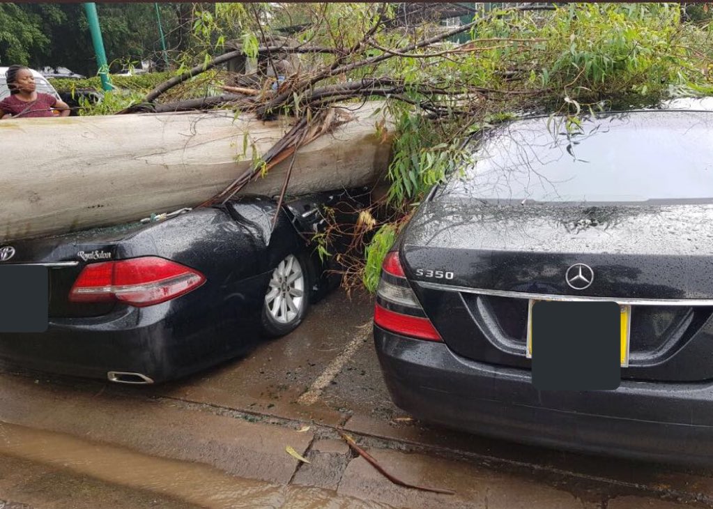 BreakingNewsKE's tweet photo. SEVEN cars badly damaged after a tree falls on them at Serena hotel car park following heavy rain; no injuries reported. #NairobiRains https://t.co/0ZGJP189lz