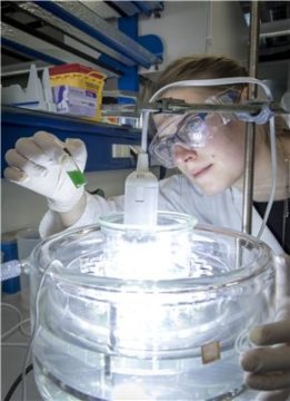 vegetos123's tweet photo. Biotechnological #Production of #Chemicals using enzymes coupled with the #photosynthesis of #microalgae, also known as cyanobacteria. Extol research to https://t.co/iDaUs1Gj6V https://t.co/kydupXyEGT