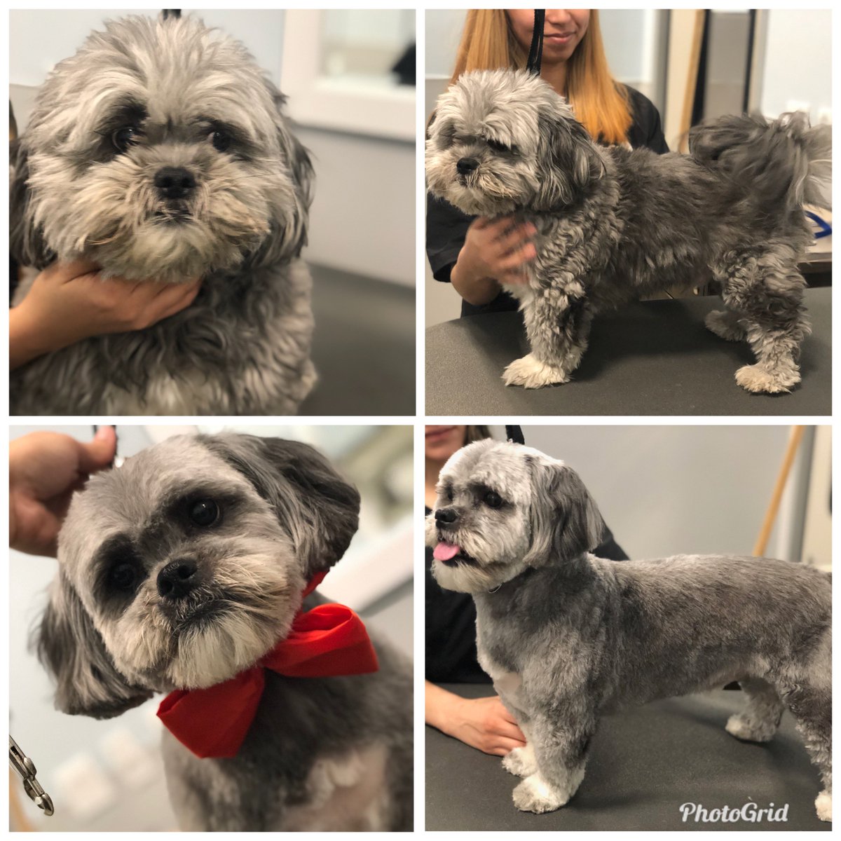 The Groomery NYC tweet media