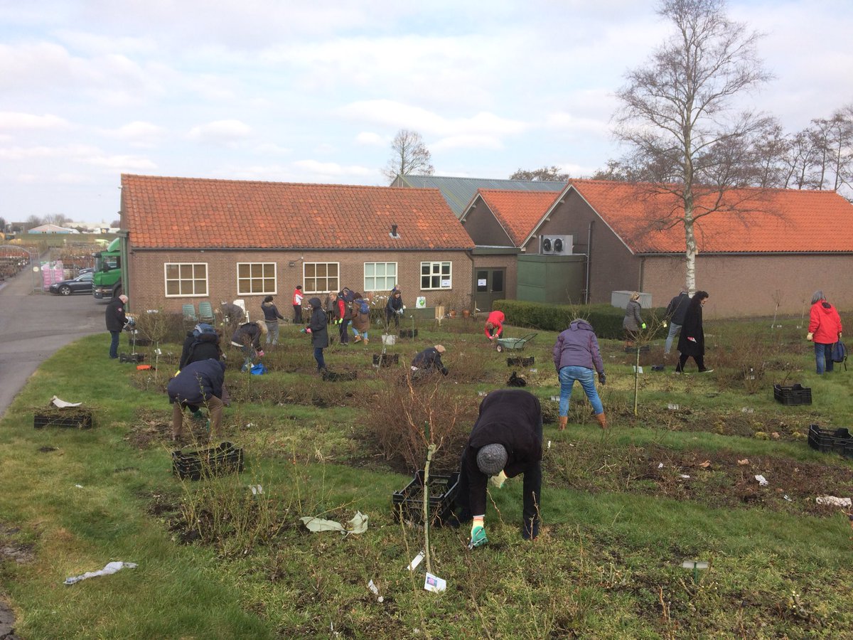 Kou getrotseerd voor workshop rozen door bevlogen kweker Frans Neuman bij snoeidag #rozenkwekerij Belle Epoque #leuk #rozensnoeienvaltmee 😅