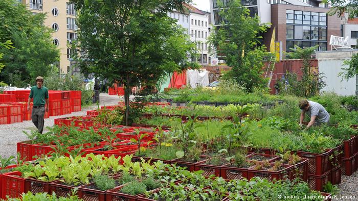 tveitdal's tweet photo. Transforming German cities into organic food gardens https://t.co/wTXeNpa7MW With  more people living in urban centers, food security and quality is becoming a pressing issue. In Germany, cities are increasingly taking the task of producing organic products to a hyperlocal level. https://t.co/ZhpmZ6NQLX