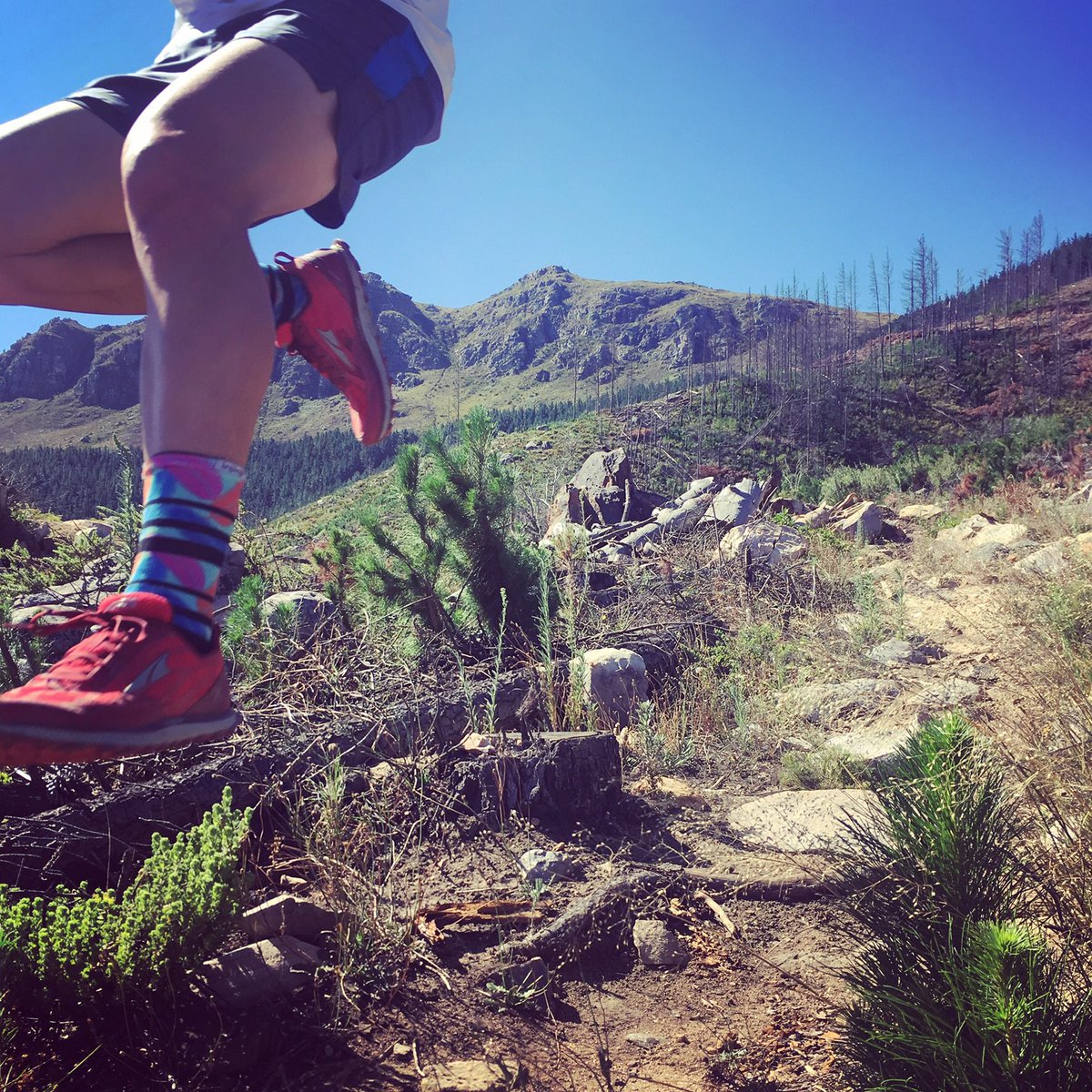 therovingrunner's tweet photo. #ZeroLimits #ZeroGravity Getting some downhill single track airtime during a Jonkershoek mission yesterday! Midday madness 30km #AfricanX training run with my trusty partner @c4cole and the @AltraRunning #Superior 3.5’s! @injinji #ToeSocksOrNoSocks #RedMeetsRed 📸 Cole Stanton https://t.co/lKL2h8V47E