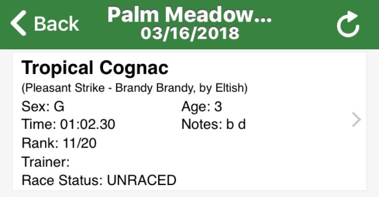 Tropical Rose tweet media