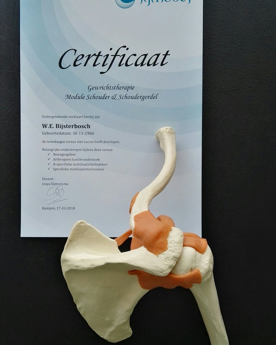 Opnieuw een intensieve opleiding. bewegingsbeperkingen opheffen #nuttig #mobilisatietechnieken #allespijnvrij