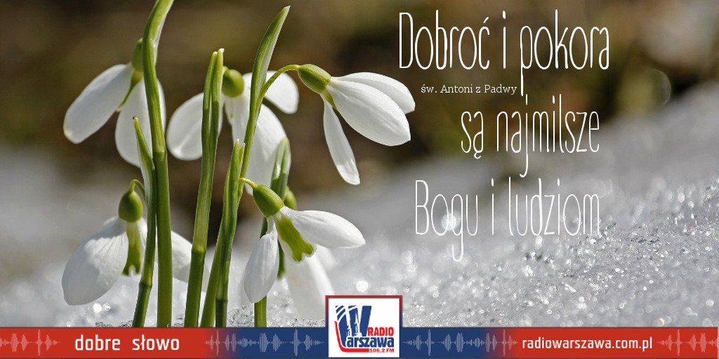 RadioWarszawa's tweet photo. Niech dobroć i pokora rozkwitają w nas wraz z nadchodzącą wiosną! #DobreSłowo #przebiśniegi #kwiaty #biały #czysty #lód #śnieg #wiosna #dobroć #pokora #IgnacyLoyola #ludzie #dar #WielkiPost #niedziela https://t.co/JfZz3nl0f1
