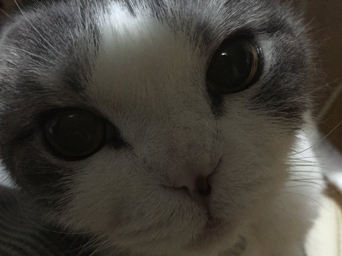 可愛いと思って良いねしてくれたら嬉しい