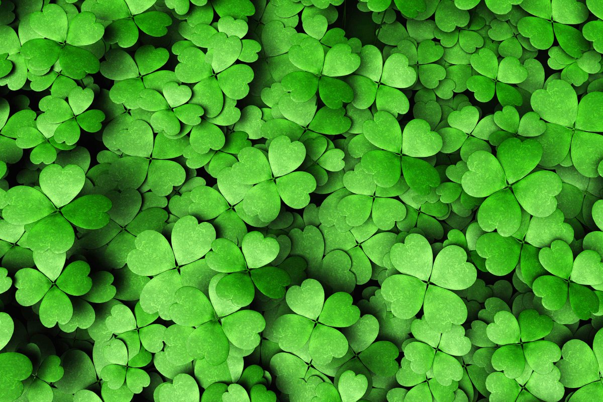 GocellaInsure's tweet image. 10 #StPatricksDay ‘Facts’ That Are Actually False: bit.ly/2Hwmrar ☘️