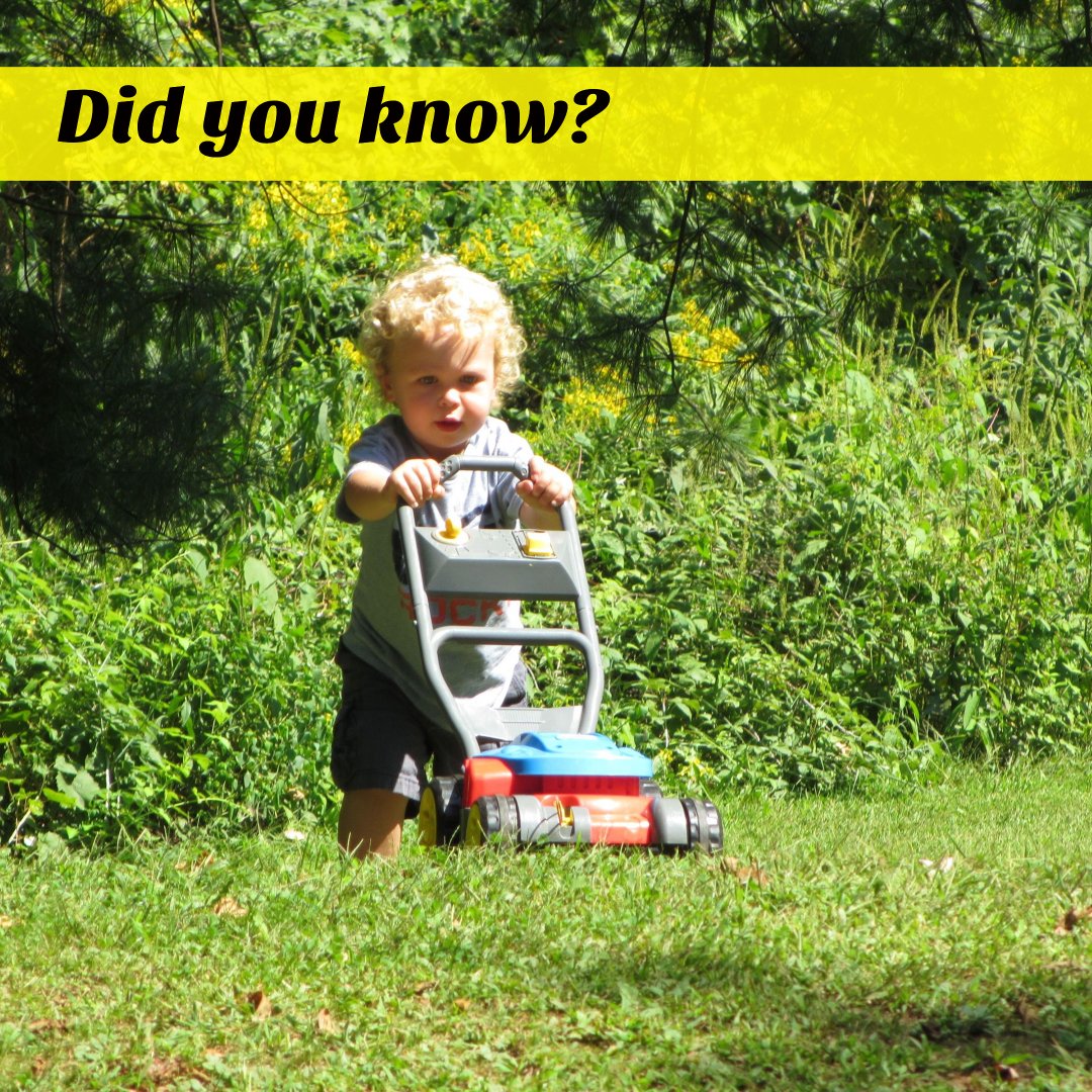 allinbloomspt's tweet photo. The average homeowner spends about 4 hours per week caring for their lawn. Depending on where you live that is 5 to 8.5 days out of each year.
#springcleaning #lawncare #landscape #mulch #bushtrimming #seeding #fertilizer #ggreengrass #gardening #weeding https://t.co/Er9YHKN8kG