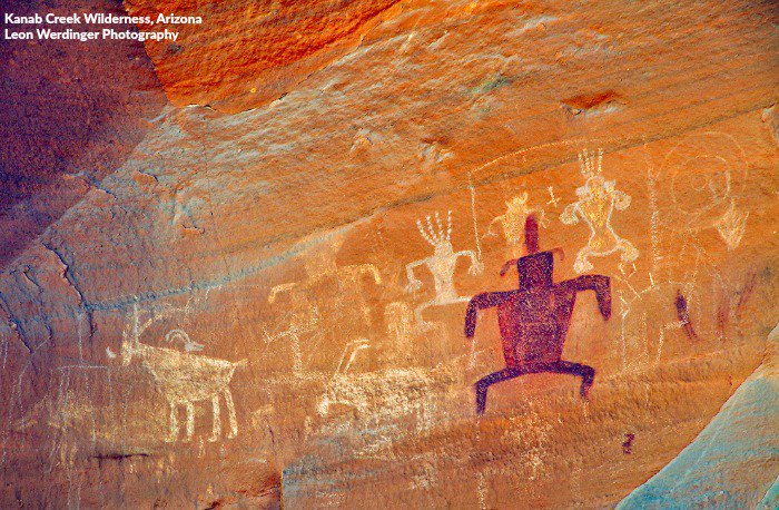 WildernessWatch's tweet photo. America's Wilderness system is not only about protecting biodiversity and critical #wildlife habitat. #Wilderness also preserves our past so we can protect our future. Please visit https://t.co/4VQEjwrr3A   to see how you can help #KeepItWild forever. https://t.co/d9Ta8vEAuZ