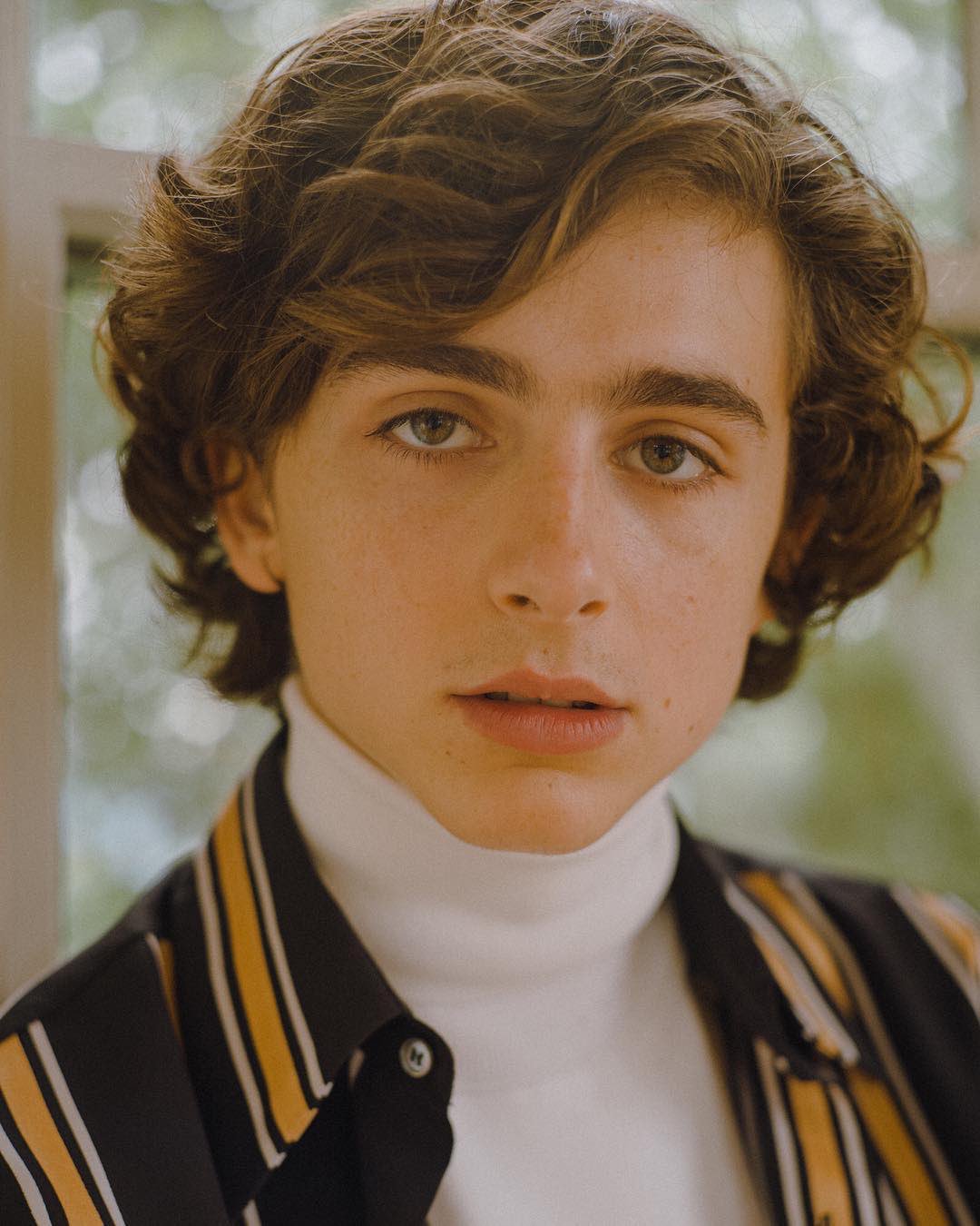Timothée Chalamet Twitter Timothée Chalamet Twitter