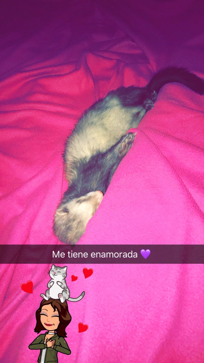 CaamiiPavon's tweet photo. Gracias por acompañarme estos 4 años de vida, este año la verdad fue completamente una mierda pero vos siempre estuviste jugándome y haciéndome mimos. Hoy me desperté a tu lado pero jamás se me cruzo por la cabeza que iba a ser el ultimo día. Te voy amar hoy y siempre coco 💜😭 https://t.co/xsn6KGlC0H