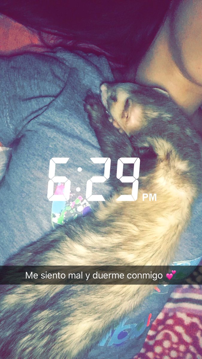 CaamiiPavon's tweet photo. Gracias por acompañarme estos 4 años de vida, este año la verdad fue completamente una mierda pero vos siempre estuviste jugándome y haciéndome mimos. Hoy me desperté a tu lado pero jamás se me cruzo por la cabeza que iba a ser el ultimo día. Te voy amar hoy y siempre coco 💜😭 https://t.co/xsn6KGlC0H