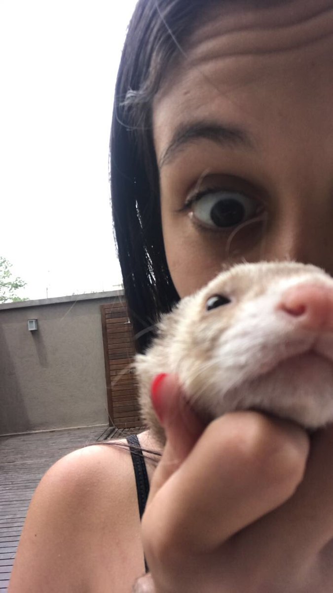 CaamiiPavon's tweet photo. Gracias por acompañarme estos 4 años de vida, este año la verdad fue completamente una mierda pero vos siempre estuviste jugándome y haciéndome mimos. Hoy me desperté a tu lado pero jamás se me cruzo por la cabeza que iba a ser el ultimo día. Te voy amar hoy y siempre coco 💜😭 https://t.co/xsn6KGlC0H