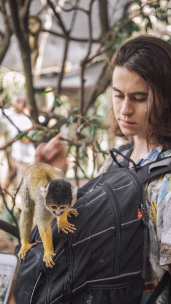 We don’t deserve animals