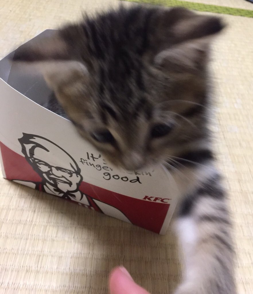 s____t_1217's tweet photo. ケンタッキー食べようとしてたから没収したらこれである https://t.co/qJPHzothAa