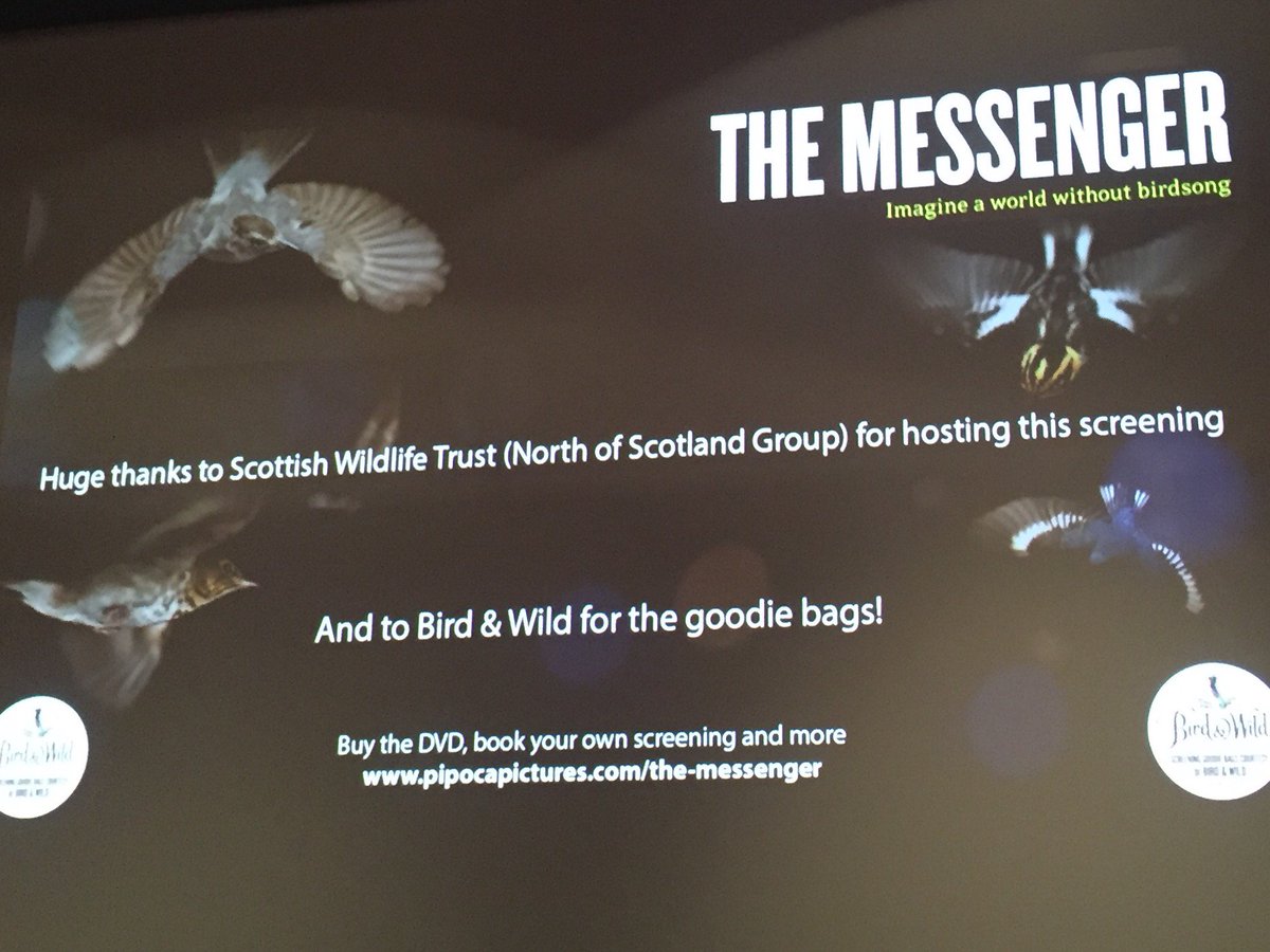 dpuplettnature's tweet photo. Just saw the film The Messenger, a powerful reminder of the global issues songbirds are facing. Hosted by the fantastic SWT North of Scotland Group. Check out the film and stand up for songbirds! #birdsmatter #songbirdsos @AllanBoat @ScotWildlife https://t.co/JgtN8XClFi