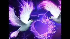 lovetattool's tweet photo. Happy injoy life https://t.co/EVrkkSztGP