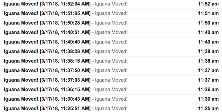 John_asks's tweet photo. I'm ending my tech-based #isentry sleeping iguana reconnaissance project. My inbox looks like this; mostly leaves fluttering. Unless I buy a webcab with a zoom, the photography is underwhelming. But it was a fun morning. And Mr. Iguana is still by my window. @dailySTEM https://t.co/vmxqrvB99S