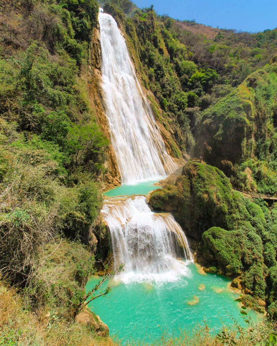 ¡La cascada Velo de Novia es una locura con una caída de 120 metros!

#Chiapas #chiapasionate #elchiflón #cascada