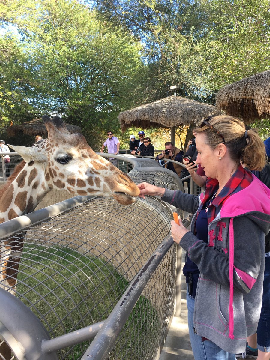 I loved feeding Mom and baby!!!The best experience ever!!!!!#standtallforgiraffes