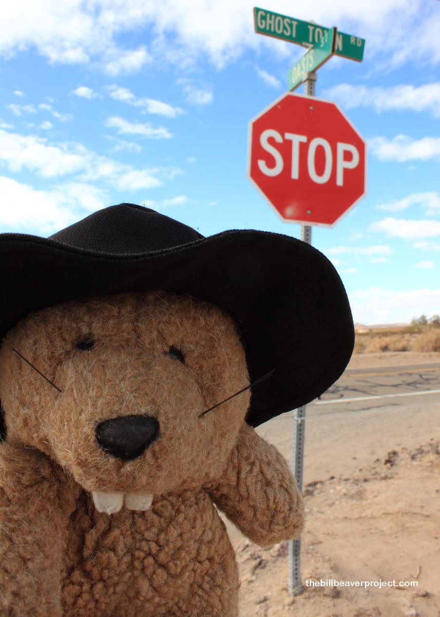 BillTheBeaver's tweet photo. Candidate #13 for a #MarchForHistory makeover: Possum Trot. A plaque at the site would tell the story of Calvin and Ruby Black, who crafted an extraordinary life-sized doll show right here on the side of the road. VOTE or DONATE here: https://t.co/lAOKX9uwzj https://t.co/3RSbZbhyWq