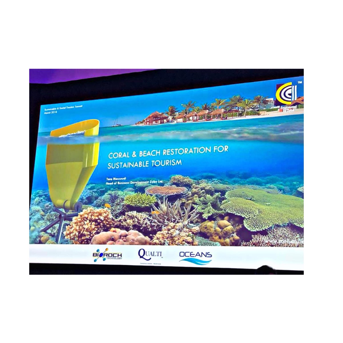 qualtimarina's tweet photo. @qualtimarina @CCell_renewable @GlobalCoral y Oceans haciendo equipo para restaurar corales y playa al mismo tiempo . 
Contáctanos ! 
+5219875648698 https://t.co/fkDJ3wv1D4