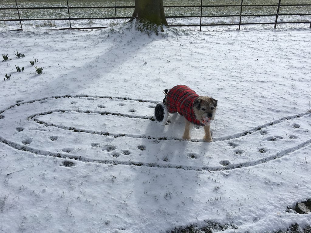 borderonwheels's tweet photo. ❄️What do you mean, ....it doesn’t say #BTPOSSE ..... I haven’t finished yet😜❄️. #snow #snowwheels #Tiretracks https://t.co/21ViFEsb2l