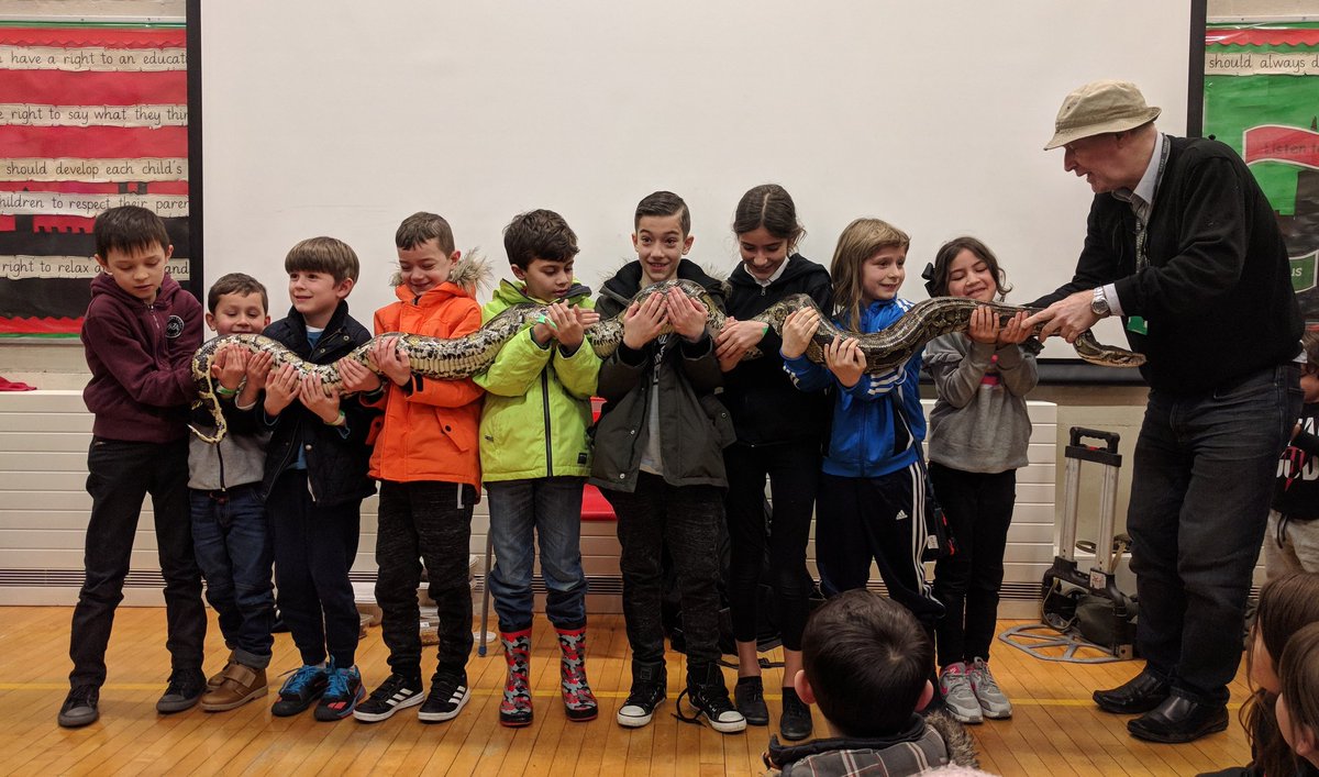 furhana_rahman's tweet photo. Amazing animal show @JBprimaryschool @sciencefunday @ScienceWeekUK https://t.co/z7Fysf4JKT