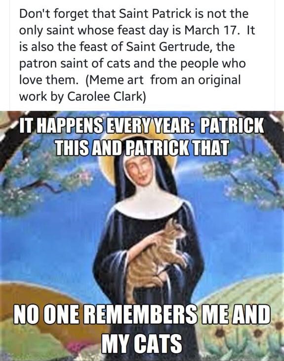 IgniteCircusNL's tweet photo. 🐱 + ☘️ = 🎉 (Happy St. #Caturday!) https://t.co/sMsFfv43Xe
