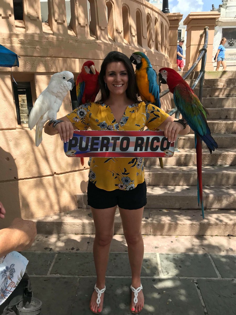 Selina_Jones1's tweet photo. Loved experiencing the rich culture in Puerto Rico 🇵🇷 #parrots #springbreakrecharge #lovetotravel https://t.co/Jwc87hNSbr