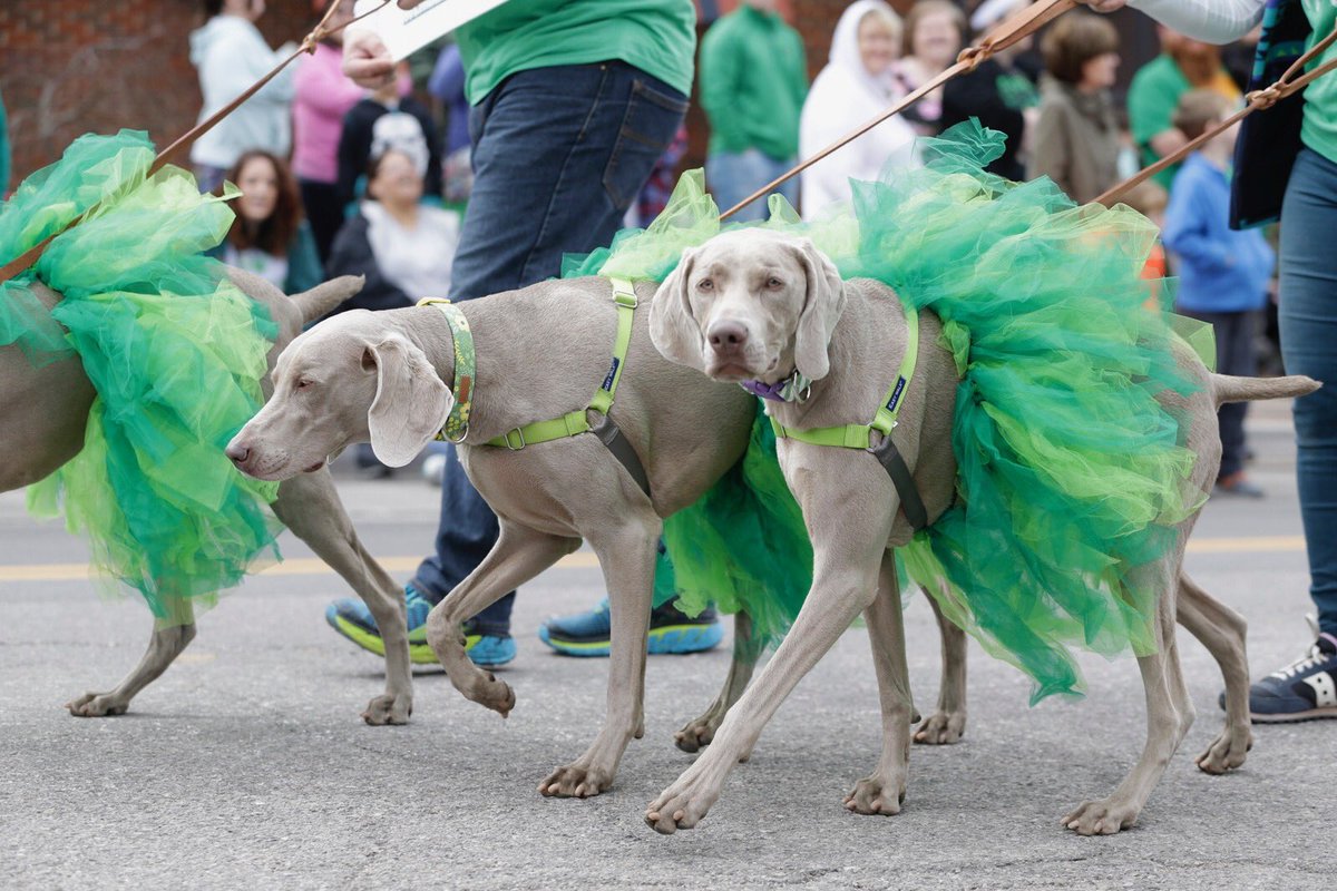 We had a great time putting on today’s O’City Parade in <a href="/_Bricktown/">Bricktown</a>! Thank you to all of the participants and spectators!