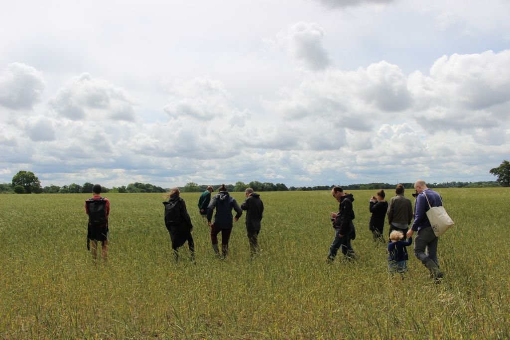 OurFieldProject's tweet image. We've got 18 spots available for new co-investors in #OurFieldWeston! Start your collaborative farming journey by joining our cereal co-op movement - all the info you need is here: buff.ly/2FFNTWF