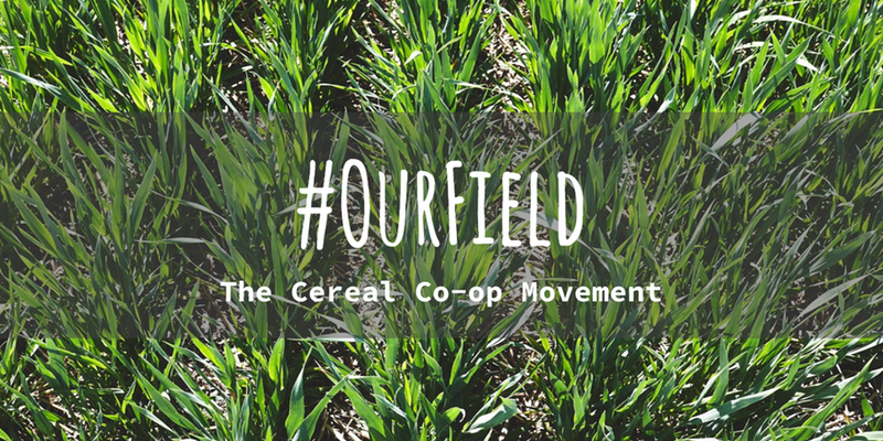 OurFieldProject's tweet image. We've got 18 spots available for new co-investors in #OurFieldWeston! Start your collaborative farming journey by joining our cereal co-op movement - all the info you need is here: buff.ly/2FFNTWF