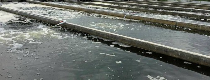 نماذج لاحواض المزارع السمكيه احواض ارضيه واحواض اسمنتيه لزراعة البلطى المكثف ---والاصل فى مثل هذه المشاريع هو التأسيس الصحيح للمزرعه واحواضها وتنظيم اهم ثلاث اشياء وهم  (الرى والصرف والتهويه ) باسلوب سلس وصحيح لتسهيل العمل فى ادارة المزرعه وتشغيلها بسلاسه ويسر من اجل انتاج افضل