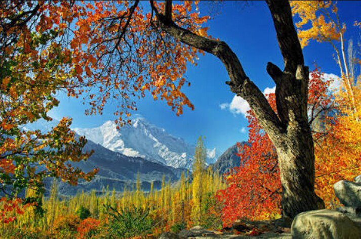 NineOneAlpha's tweet photo. Pakistan has been bestowed with enormous beauty and #GilgitBalitistan region remains at its heart.
#GilgitHeartOfPakistan https://t.co/PEQxRvkf3h