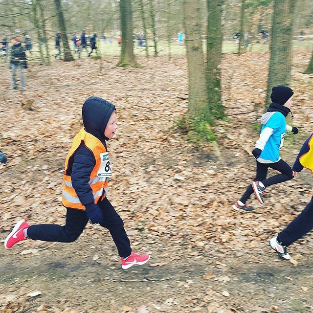 WilliamHuizinga's tweet photo. Als een speer (en goed ingepakt tegen de kou) kwam hij voorbij ππΌββοΈ die jongen van mij ππ» #scholierencross #Apeldoorn #orderbos #av34 @runnersworldned #basisschool #groep5 #running #ijskoud #gevoelstemperatuur -10 https://t.co/1HNqgpFhPO https://t.co/f6mN5oTK28