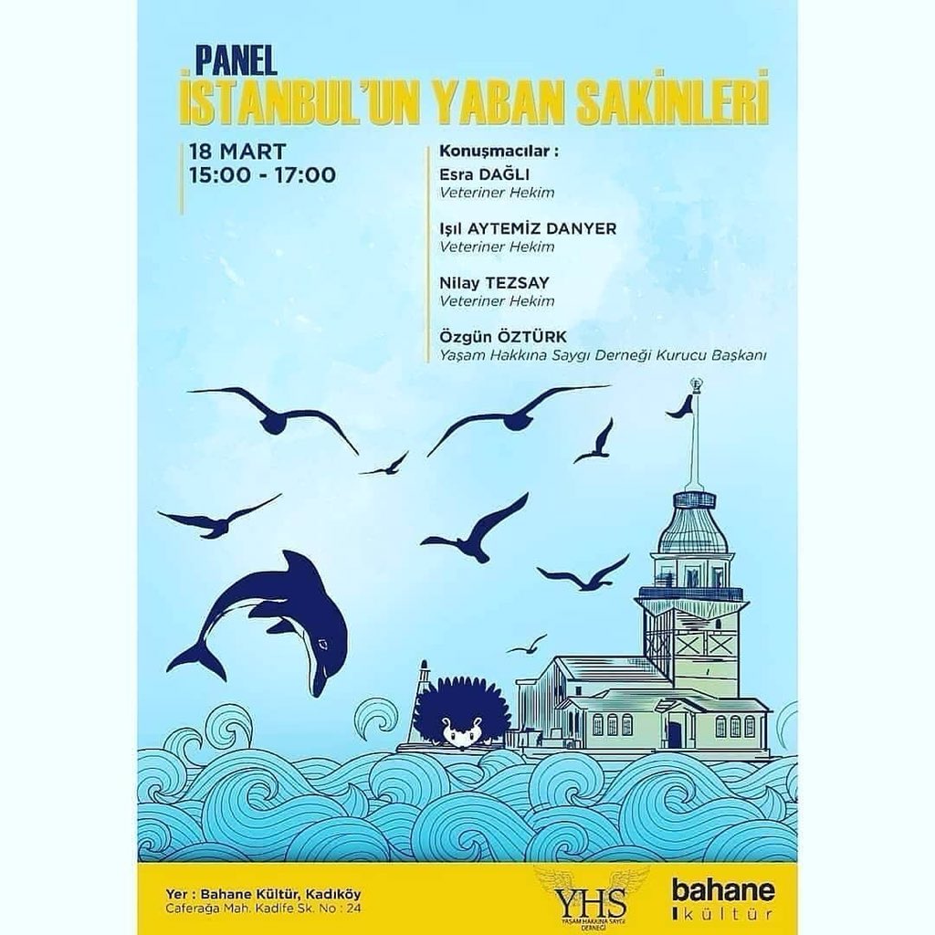 Biz yarın ki programımızı yaptık ☺️ @YHS_TURKIYE düzenlediği panelde olacağız. Katılım herkese açık ve ücretsiz🙏🏻 

#recetemedokunma #yaban #yabanhayat #yabanhayvanları #istanbul #panel #hayvanhakları