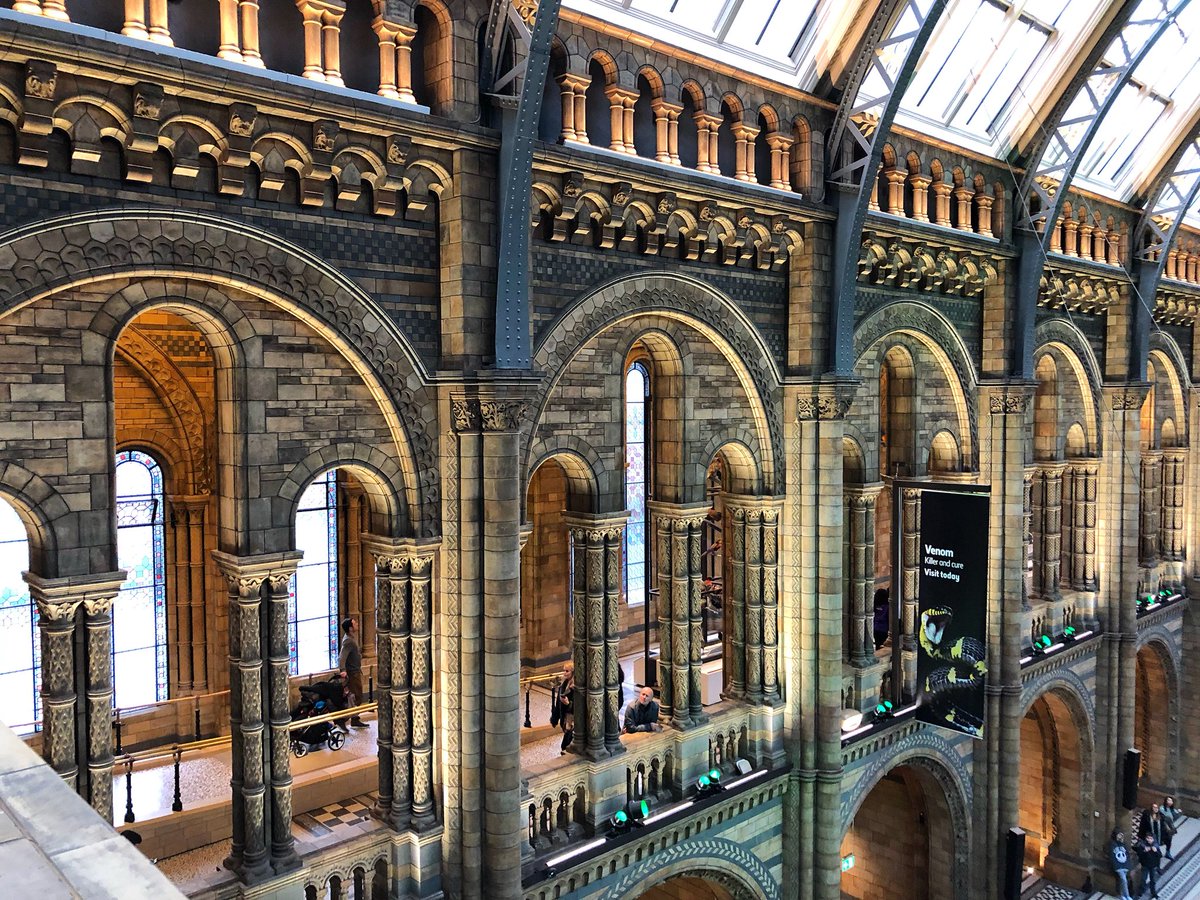 FatKidOnFire's tweet photo. Had an amazing afternoon re-exploring @nhm_london with @Gabrielaellala today. Big thanks to the @breadcrumbsgame team for the adventure! #breadcrumbsgame https://t.co/OyNNVVJI2R
